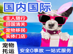 九江庐山航空运输国际宠物托运 【国